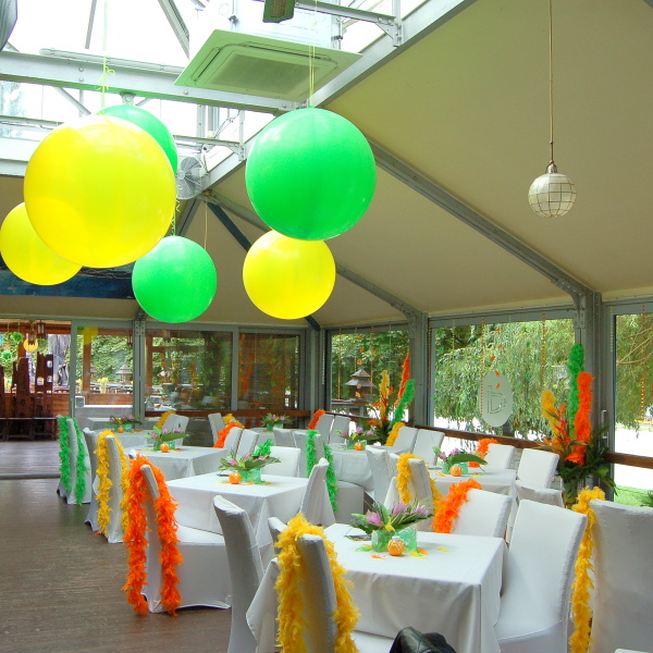 Party Rio