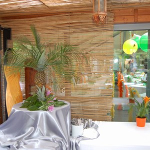 Exotika na party