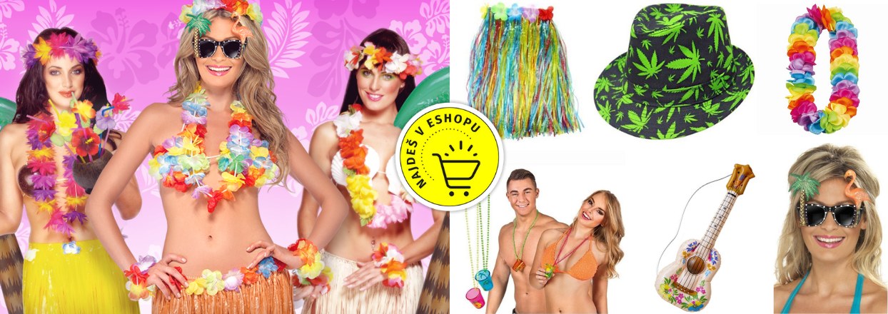 1 Hawaii_party