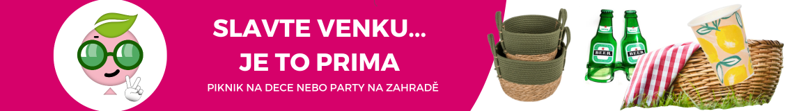 Piknik_party